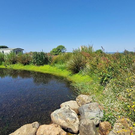 Plas Tirion Caravan Holyhead Exterior photo