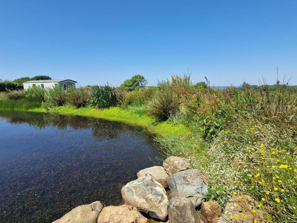 Plas Tirion Caravan Holyhead Exterior photo